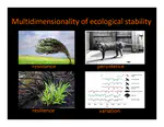 Multidimensionality of Ecological Stability